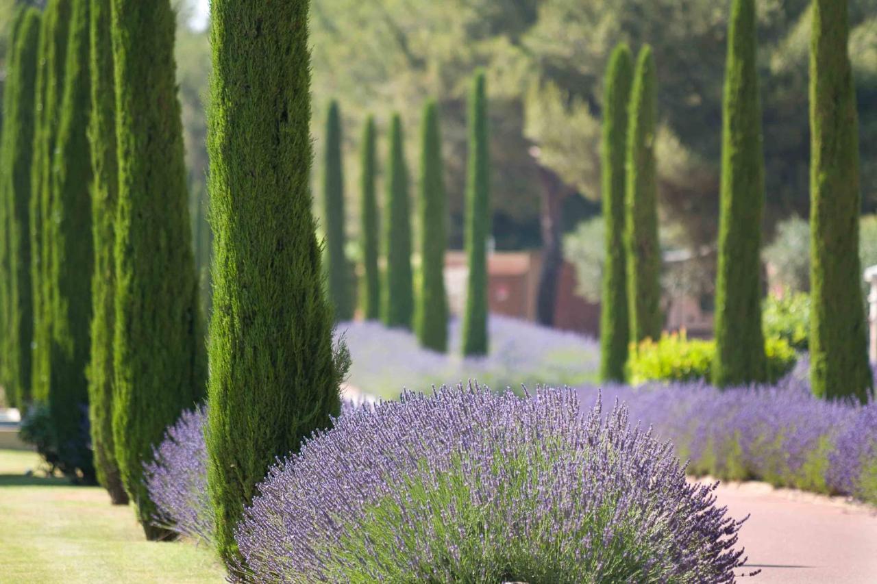 L'Hotel & Spa Du Castellet لو كاستليت المظهر الخارجي الصورة